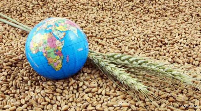 Küresel gıda fiyatları, üç yılın en yüksek seviyesine ulaştı. 