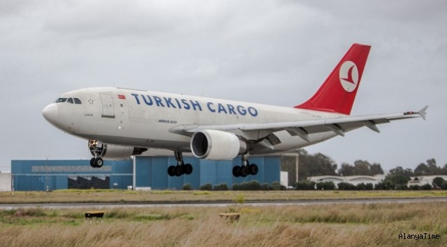 Kuş sürüsüne giren THY kargo uçağı Atatürk Havalimanı'na acil iniş yaptı