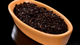 Şanlıurfa'ya 'İsot Müzesi' kurulacak: 'Dünyanın acısını paylaşacağız'