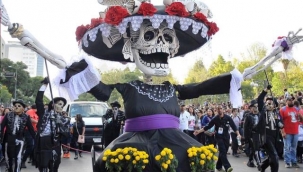 Senin Festivalin Hangisi?