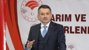 Tarım Orman ve Bakanı Bekir Pakdemirli; Geçici bir gıda enflasyonu var mayıs ayı gibi rahatlayacağız