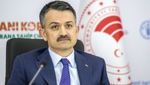 Tarım ve Orman Bakanı Pakdemirli, 2021'de 24 milyar lira tarımsal destek ödemesi yapacağız