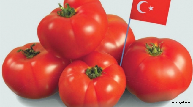Türk domates ihracatçıları, domateste Rus kotasının tamamen kaldırılmasını bekliyor
