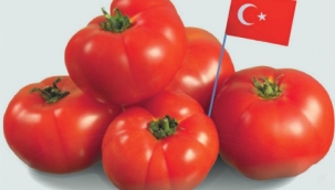 Türk domates ihracatçıları, domateste Rus kotasının tamamen kaldırılmasını bekliyor