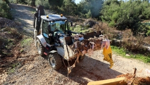 ALANYA BELEDİYESİ ORMANDA MOLOZ TEMİZLEDİ