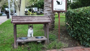 CAN DOSTLARIMIZA PARKLARDA BESLENME DESTEĞİ