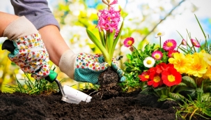 Çiçek Ekmek İçin En Doğru Zaman Hangisidir?