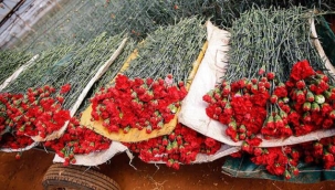 Çiçek ihracatı yüzde 19 yükseldi