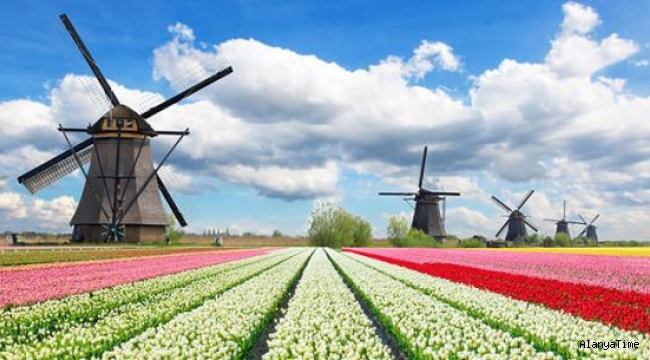 Hollanda'nın tarımsal ihracatı 116 milyar doları aşarak rekor kırdı