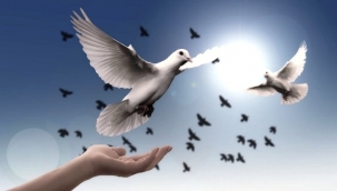 İslam Hayatı ve Barışı Esas Alır