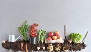 Kompost Nedir?  Evde Kompost Nasıl Yapılır?