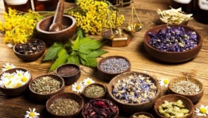 Milli ilacın temelini şifalı bitkiler oluşturacak