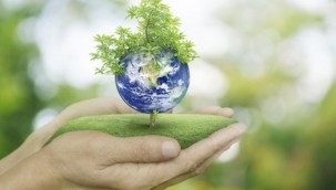 Yeşil Yeni Dünya, Türkiye'nin Yeşil Dönüşümü Yolu