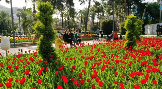 ALANYA SOKAKLARINDA İLKBAHAR MÜJDECİSİ LALELER ÇİÇEK AÇTI