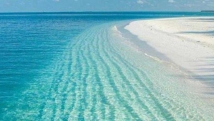 Çevre ve Şehircilik Bakanlığı: Salda Gölü'nün UNESCO Doğal Miras Listesi'ne alınması için düğmeye bastı