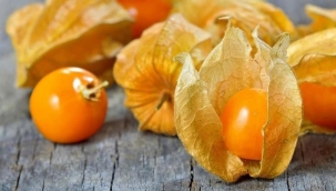 Dünyanın en zengin lif oranına sahip meyvesi: Altın çileğin kilosu 150 liradan satılıyor