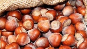 Fındık fiyatı haftayı düşüşle kapattı