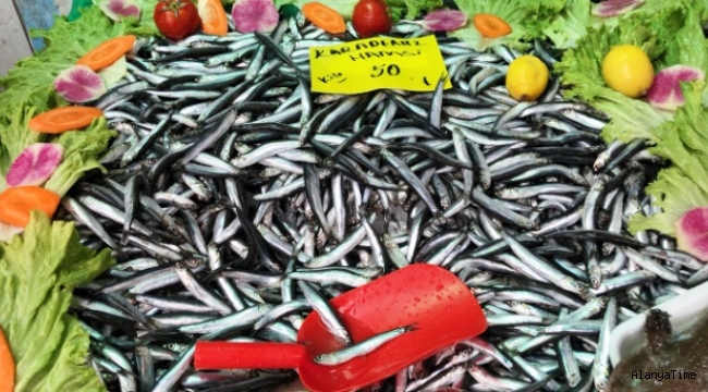 Hamsinin kilosu iki kat artarak 50 liraya çıktı