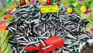 Hamsinin kilosu iki kat artarak 50 liraya çıktı