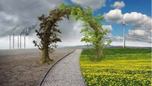 İklim değişikliği tarımı nasıl etkileyecek? 