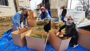 Kadınlar üretti, kadınlar ihraç etti