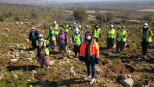 Manisa'da ormanlık alanlar kadınların eliyle genişliyor