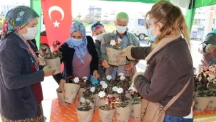 SULTANKEYKUBAT'IN ALANYA'YI FETHİNİN 800. YILI ANISINA ÇİÇEK DAĞITIM ETKİNLİĞİ DEVAM EDİYOR