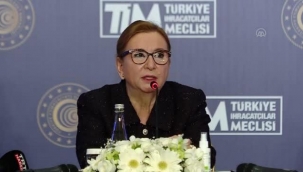 Ticaret Bakanı Ruhsar Pekcan: Tüm zamanların en yüksek şubat ayı ihracatı gerçekleşti
