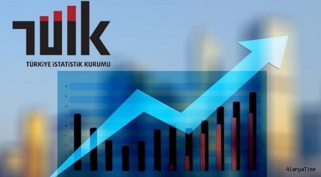 TÜİK, Türkiye ekonomisinin 2020'de yüzde 1,8 büyüdüğünü açıkladı