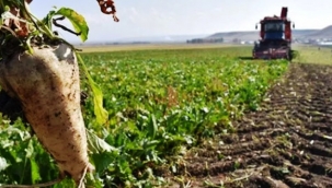 Türkiye'nin tarımsal ürün üretimindeki yeterlilik dereceleri açıklandı.