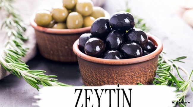 Zeytin 'Olea europaea'