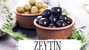 Zeytin 'Olea europaea'