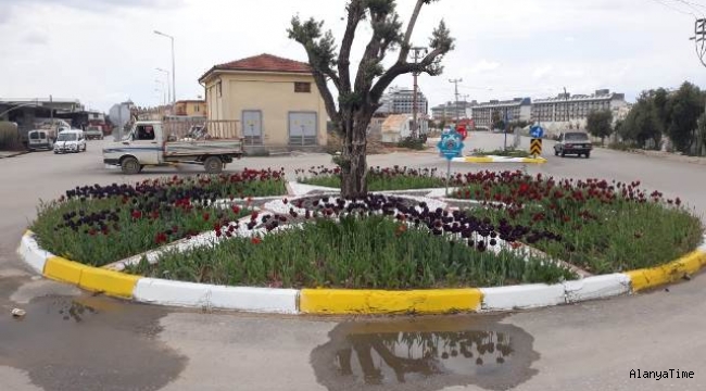 ALANYA BELEDİYESİ PAYALLAR SANAYİ YOLUNA İKİ ADET KAVŞAK KAZANDIRDI