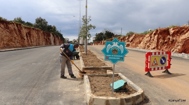 ALANYA BELEDİYESİ PORTAKAL CADDESİ'Nİ YEŞİLLENDİRİLİYOR