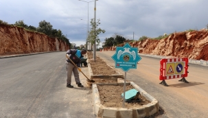 ALANYA BELEDİYESİ PORTAKAL CADDESİ'Nİ YEŞİLLENDİRİLİYOR