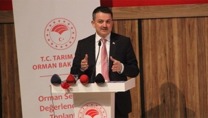 Bakan Pakdemirli: 'Patates ve kuru soğan alımına başlıyoruz'