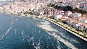 Deniz salyası İzmit Körfezi'ni beyaza bürüdü