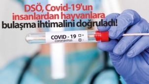 Dünya Sağlık Örgütü'nün (DSÖ) : Covid-19'un insanlardan hayvanlara bulaşma ihtimalini doğruladı