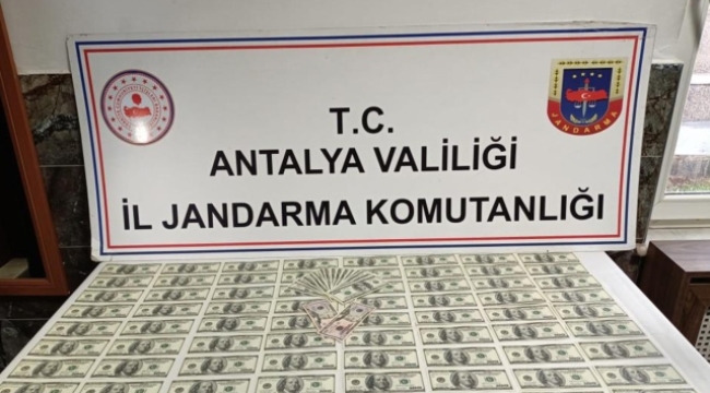 Antalya'da sahte dolar operasyonu: 2 gözaltı