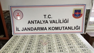 Antalya'da sahte dolar operasyonu: 2 gözaltı