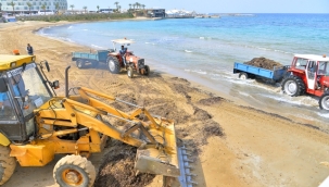 DALGALARLA KIYIYA VURAN ATIKLAR ALANYA BELEDİYESİ EKİPLERİNCE TEMİZLENİYOR
