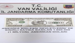 Gürpınar'da 1 milyon dolarlık banknot ele geçirildi