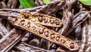 Mucize besin Keçiboynuzu Faydaları