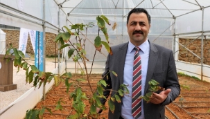 PROF. DR. EKREM KALAN: "KAHVE YEMEN'DEN DEĞİL ALANYA'DAN GELECEK"