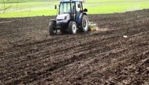 Tarlada çalışan çiftçi sayısı 500 binin altına düştü