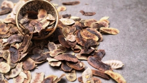 Açlık otu nedir? Faydaları nelerdir?