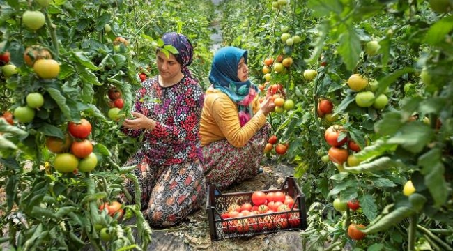 ALANYA BELEDİYESİ 16. ULUSAL FOTOĞRAF YARIŞMASI SONUÇLARI AÇIKLANDI