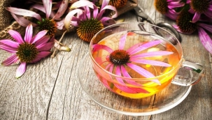 Ekinezya nedir? Faydaları nedir?