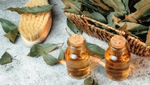 İltihap önleyici defne yaprağının sağlığa 10 faydası