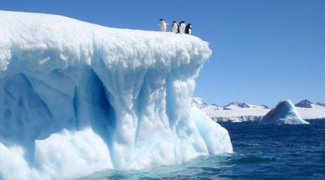 Küresel ısınma: Antarktika'da buzulları eritiyor